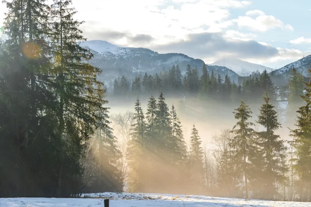 widok na Tatry
